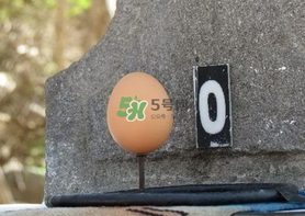 夏至雞蛋為什么立著？夏至是不是有吃雞蛋這個(gè)說法？