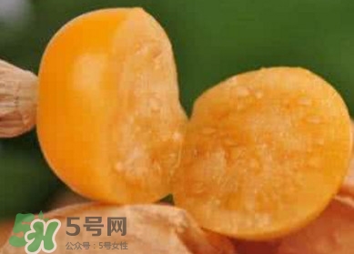 姑娘果是寒性嗎？姑娘果是涼性還是熱性？