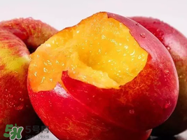 油桃怎么保存不會變軟？油桃怎么保存時間長？