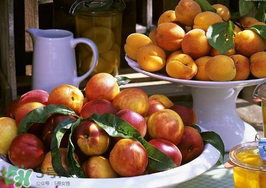 油桃和杏子能一起吃嗎？油桃能和杏子一起吃嗎？