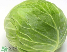 圓白菜是什么菜？圓白菜能生吃嗎？
