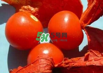 姑娘果是什么果？姑娘果怎么吃