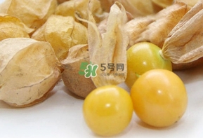 姑娘果多少錢一斤2017？姑娘果哪里有賣