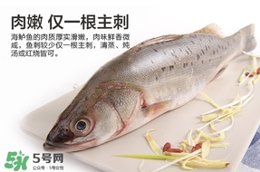 鱸魚(yú)是海鮮嗎？鱸魚(yú)是不是海鮮？
