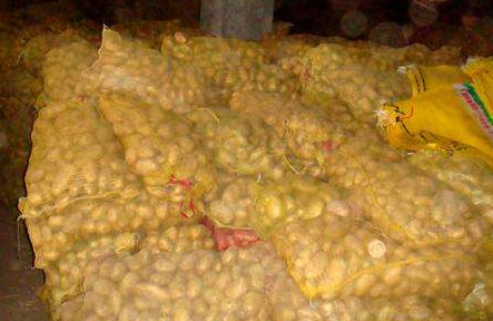 馬鈴薯怎么保存不發(fā)芽？馬鈴薯如何保存不變綠