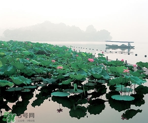 6月份去杭州穿什么？六月份去杭州穿衣搭配