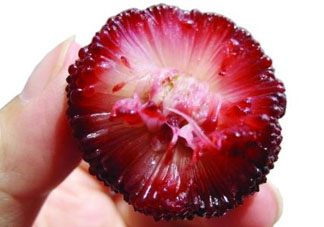 楊梅籽可以吃嗎？吃楊梅籽有什么好處？