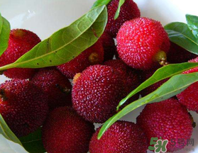 楊梅和榴蓮可以一起吃嗎？吃完楊梅可以和吃榴蓮嗎？