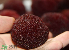 楊梅籽可以吞下去嗎？楊梅籽吞下去了怎么辦？