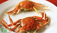 螃蟹忌諱什么？螃蟹不能和什么一起吃