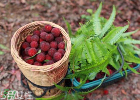 楊梅籽可以種嗎？楊梅籽怎么種小盆栽?？