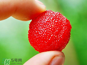 楊梅一天最多吃多少？楊梅一次能吃多少？