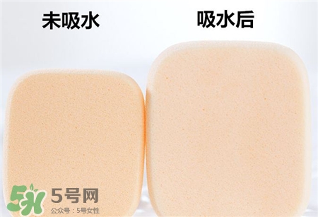 rosy rosa果凍海綿怎么用?rosy rosa果凍海綿用法 rosy rosa果凍海綿怎么用?rosy rosa果凍海綿用法