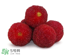 楊梅放冰箱能放幾天？楊梅可以放冰箱嗎？