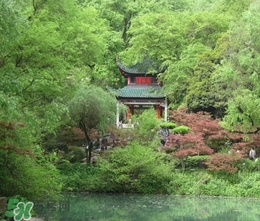 7月份去長沙穿什么？七月份去長沙穿什么衣服