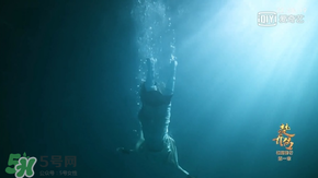 諜紙?zhí)煅酆屯鸂I(yíng)有什么關(guān)系？