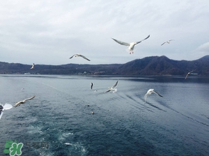 7月份去日本穿什么？七月份去日本穿什么衣服