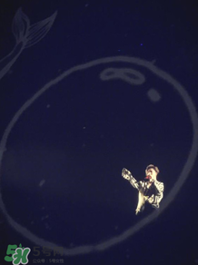 高鑫磊是誰？高磊鑫個(gè)人資料