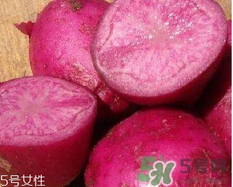 紅土豆是轉(zhuǎn)基因的嗎？紅土豆和正常土豆的區(qū)別