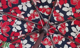 knirps是什么牌子？knirps太陽傘怎么樣？