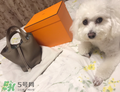 菜籃子包是什么牌子？菜籃子包是哪個品牌的？