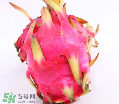 火龍果怎么保存時間長？切開的火龍果怎么保存