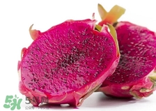 紅心火龍果的熱量高嗎？一個(gè)紅心火龍果的熱量是多少