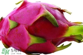 火龍果怎么保存時間長？切開的火龍果怎么保存