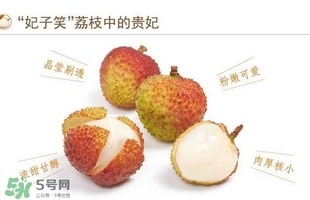 貴妃荔枝是哪里的？貴妃荔枝的產(chǎn)地是哪里