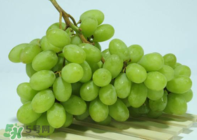 青提是涼性還是熱性？青提是酸性還是堿性？