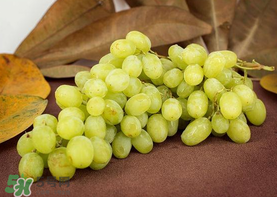 青提是涼性還是熱性？青提是酸性還是堿性？