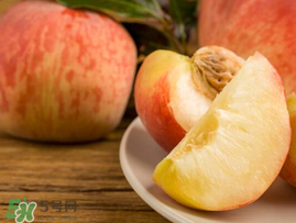 水蜜桃和牛奶可以一起吃嗎？牛奶和水蜜桃可以同時吃嗎？