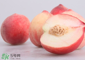 水蜜桃可以和酸奶一起吃嗎？水蜜桃酸奶的做法