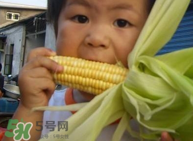 水果玉米是甜玉米嗎？水果玉米和甜玉米的區(qū)別
