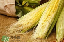 玉米須煮水可以去黃疸嗎？玉米須能去新生兒黃疸嗎