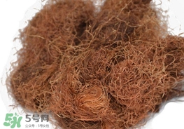 玉米須怎樣保存？玉米須可以曬干保存嗎？