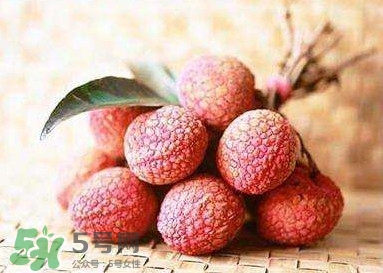 貴妃荔枝是哪里的？貴妃荔枝的產(chǎn)地是哪里