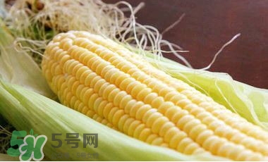 水果玉米是甜玉米嗎？水果玉米和甜玉米的區(qū)別