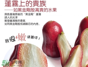 黑金剛蓮霧好吃嗎？黑金剛蓮霧多少錢(qián)一斤2017？