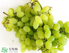 青提什么時候成熟？青提什么時候上市？