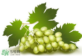 青提不能和什么一起吃？青提哪些人不能吃？