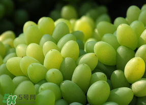 青提不能和什么一起吃？青提哪些人不能吃？