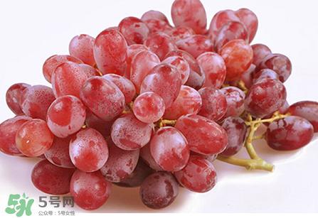 提子為什么會澀？提子澀怎么辦是沒熟嗎？