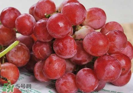 提子為什么會澀？提子澀怎么辦是沒熟嗎？