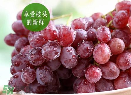 提子為什么會澀？提子澀怎么辦是沒熟嗎？