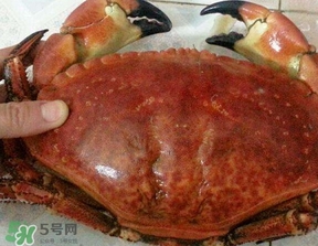 面包蟹什么時(shí)候最肥？面包蟹幾月份最肥