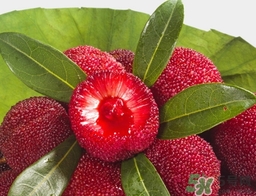 喝楊梅酒會拉肚子嗎？楊梅酒可以治療拉肚子嗎？