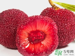 喝楊梅酒會拉肚子嗎？楊梅酒可以治療拉肚子嗎？