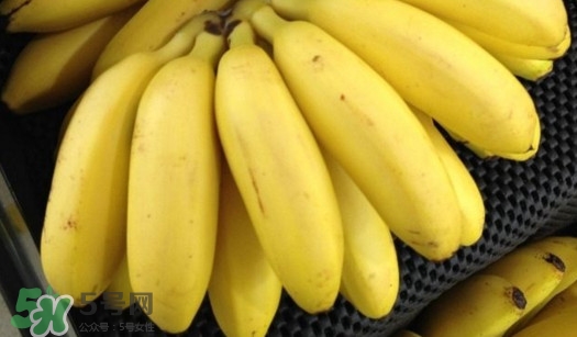 芭蕉如何保存時(shí)間久？青芭蕉摘下來怎么保存