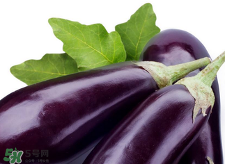 茄子怎么挑選？如何挑選茄子？